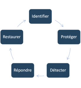 cycle_de_vie