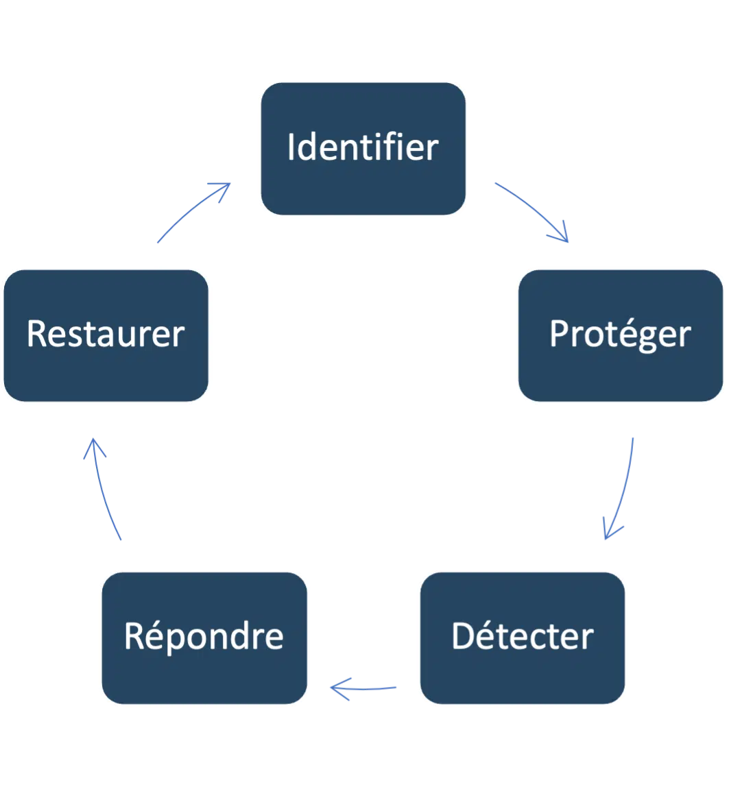 cycle_de_vie